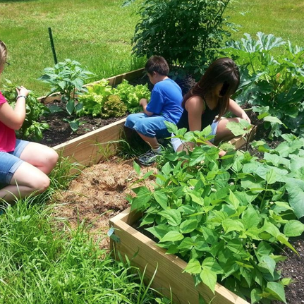 gardening